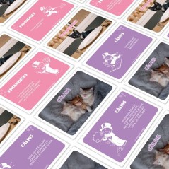 MONOPOLY - Chatons - Jeu de société - WINNING MOVES - 2 a 6 joueurs
