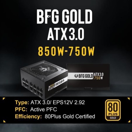 BITFENIX BFG GOLD 850W (80+ Gold) ATX 3.0 - Alimentation PC - 850W