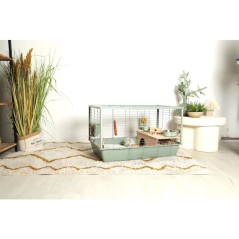 ZOLUX Cage grillagée cochon d'inde et rongeur Néolife - 80 x 52,5 x