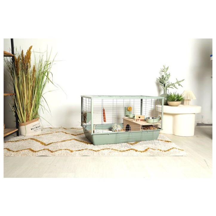 ZOLUX Cage grillagée cochon d'inde et rongeur Néolife - 80 x 52,5 x 48 cm - Vert ZOLUX Cage grillagée cochon d'inde et rongeur Néolife - 80 x 52,5 x 48 cm - Vert