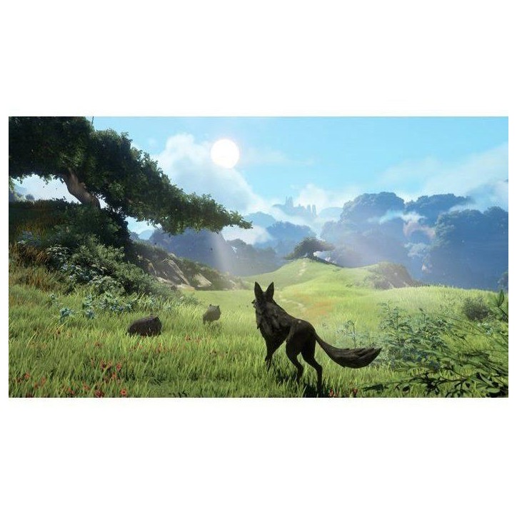 LOST EMBER : WOLF PACK EDITION – Jeu Xbox Series X LOST EMBER : WOLF PACK EDITION – Jeu Xbox Series X