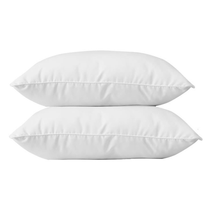 BLANREVE Lot de 2 Oreillers en coton - 60 x 60 cm - Blanc