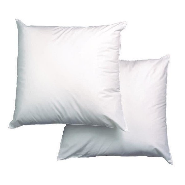 BLANREVE Lot de 2 Oreillers Triple Protection - 60 x 60 cm - Blanc BLANREVE Lot de 2 Oreillers Triple Protection - 60 x 60 cm - Blanc