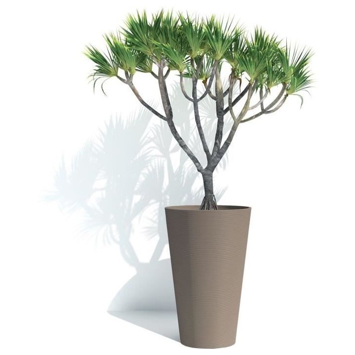 Pot de fleurs haut - GARDEN ID - Green Care Sense Haut Taupe - 55 cm - Garantie de 10 ans - 100% recyclé - Résistance UV et ge Pot de fleurs haut - GARDEN ID - Green Care Sense Haut Taupe - 55 cm - Garantie de 10 ans - 100% recyclé - Résistance UV et ge