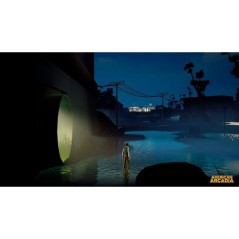 American Arcadia - Jeu Nintendo Switch