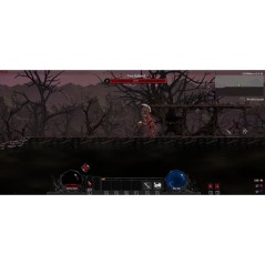 Dragon is dead - Guernian Edition - Jeu PS5