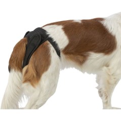 Slip protection chien - Comfort XL - 60–70 cm - noir