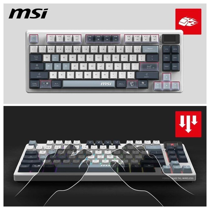 Clavier gamer sans fil - Switches mécaniques linéaires - MSI FORGE GK600 TKL Wireless - TKL - RGB - Blanc