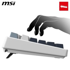 Clavier gamer sans fil - Switches mécaniques linéaires - MSI FORGE G