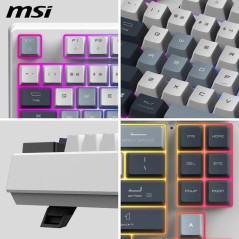 Clavier gamer sans fil - Switches mécaniques linéaires - MSI FORGE G