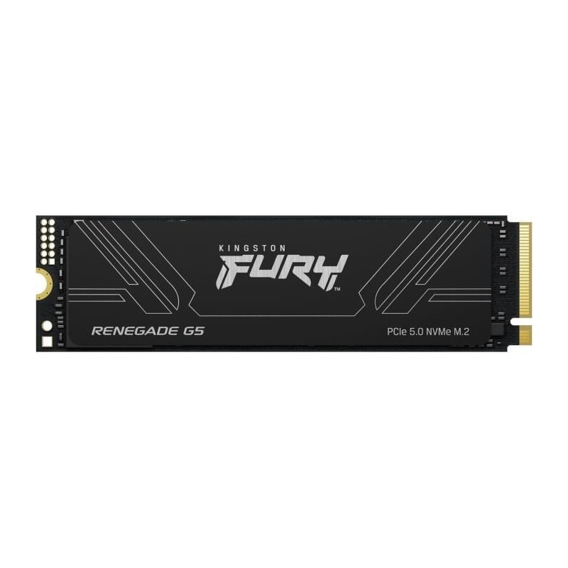 KINGSTON - FURY Renegade G5 - SSD interne - 2 To - M.2 2280 - PCI Expr
