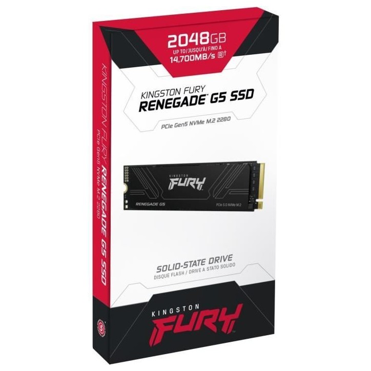 KINGSTON - FURY Renegade G5 - SSD interne - 2 To - M.2 2280 - PCI Express 5.0 x4 (NVMe) - Lecture jusqu'a 10 000 Mo/s KINGSTON - FURY Renegade G5 - SSD interne - 2 To - M.2 2280 - PCI Express 5.0 x4 (NVMe) - Lecture jusqu'a 10 000 Mo/s