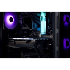 KINGSTON - FURY Renegade G5 - SSD interne - 2 To - M.2 2280 - PCI Expr