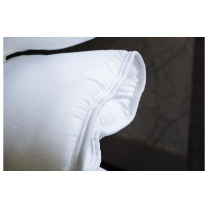 Couette tempérée anti-acariens - 300 gr/m² - BLANREVE - 240 x 220 cm - Blanc Couette tempérée anti-acariens - 300 gr/m² - BLANREVE - 240 x 220 cm - Blanc