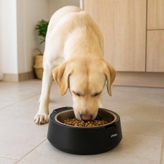Gamelle avec balance intégrée - LIVOO - PET109N - Capacité 5 kg -