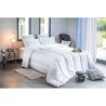 Couette chaude anti-acariens - 400 gr/m² - BLANREVE - 240 x 220 cm -