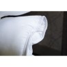 Couette chaude anti-acariens - 400 gr/m² - BLANREVE - 240 x 220 cm -