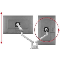 Support moniteur - ONE FOR ALL - Dynamic - Vesa 100 - Double Bras - 13