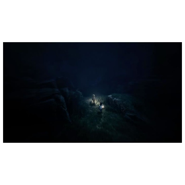 Reanimal - Jeu PS5 Reanimal - Jeu PS5