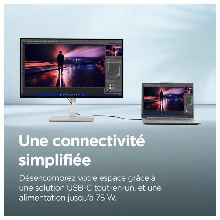 Ecran PC LENOVO L24m-4A - 23,8 - FHD - 100Hz - Dalle IPS - 1ms - USB-C - Pied réglable en hauteur Ecran PC LENOVO L24m-4A - 23,8 - FHD - 100Hz - Dalle IPS - 1ms - USB-C - Pied réglable en hauteur