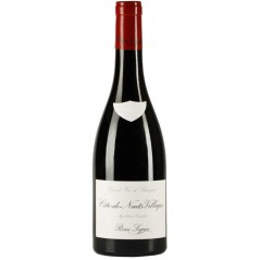 Rémi Seguin 2020 Côte-de-Nuits-Villages - Vin rouge de Bourgogne