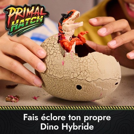 Dino Hybride Éclosion Surprise Primal Hatch - a Faire Éclore dans l'Eau - SPIN MASTER - A partir de 5 ans