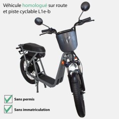 Trottinette électrique - WISPEED - WIMOB Plus - Gris