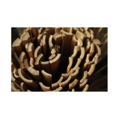 Canisse - NATURE - Bambou fendu - 3 x 1 m