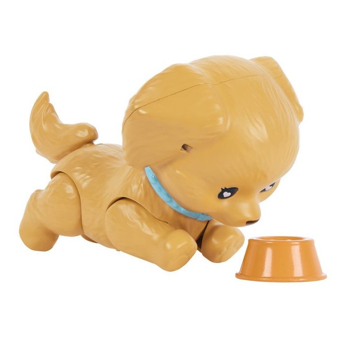 Poupée mannequin - Barbie - Et son Chiot sur Patins a Roulettes - 16 accessoires inclus - Des 3 ans