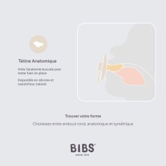 Sucette bébé - BIBS - Colour - Embout anatomique - Pack de 2 - Caout