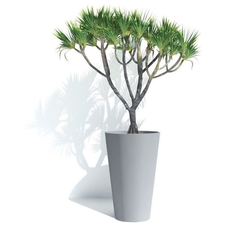 Pot de fleurs haut - GARDEN ID - Green Care Sense Haut Pierre bleue - 55 cm - Garantie 10 ans - 100% recyclé - Résistance UV e