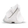 Souris Ergonomique Sans Fil - BLUESTORK - ERGO - Lumineuse - PC/MAC -