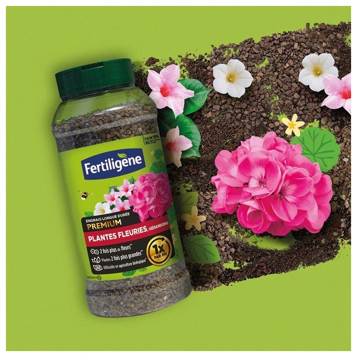 Engrais longue durée premium plantes fleuries géraniums 600 g - FERTILIGENE - FEGLDGER Engrais longue durée premium plantes fleuries géraniums 600 g - FERTILIGENE - FEGLDGER