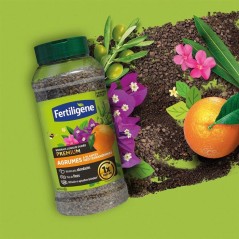 Engrais longue durée premium agrumes plantes méditerranéennes 600 g