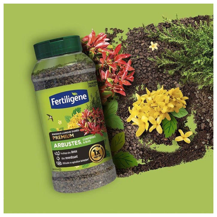Engrais longue durée premium arbustes coniferes et buis 600 g - FERTILIGENE - FEGLDARB Engrais longue durée premium arbustes coniferes et buis 600 g - FERTILIGENE - FEGLDARB