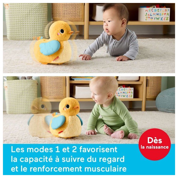 Jouet d'éveil - FISHER-PRICE - Poussin suis-moi JMX99 - Mouvement - 4 modes - Interactif Jouet d'éveil - FISHER-PRICE - Poussin suis-moi JMX99 - Mouvement - 4 modes - Interactif