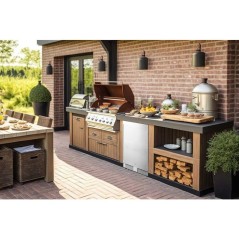 Réfrigérateur table-top extérieur - FRIGELUX - RETT136A - Encastrab