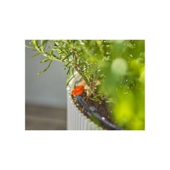 Kit d'initiation pour balcon - jusqu'a 15 plantes - 13401-20