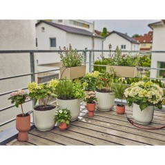 Kit d'initiation pour balcon - jusqu'a 15 plantes - 13401-20