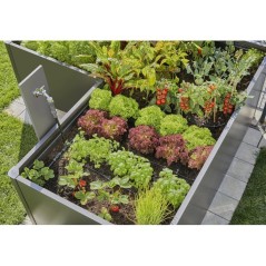 Kit d'initiation pour rangées de plantes - jusqu'a 35 plantes - 13455