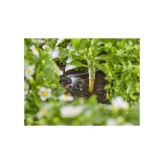 Kit d'initiation pour rangées de plantes - jusqu'a 35 plantes - 13455