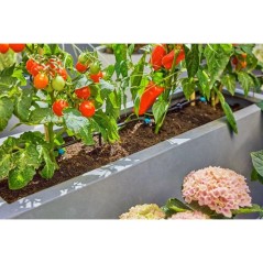 Kit d'initiation arrosage - GARDENA - Terrasse - Jusqu'a 30 plantes -