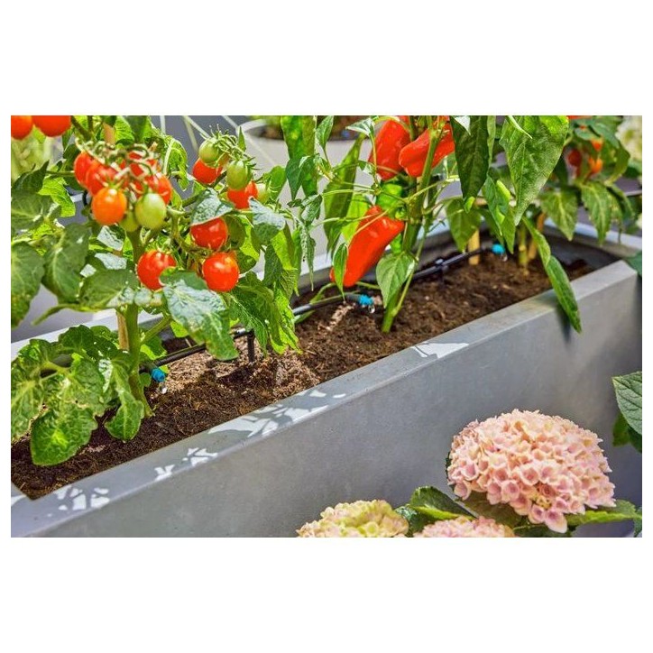 Kit d'initiation arrosage - GARDENA - Terrasse - Jusqu'a 30 plantes - Installation facile Kit d'initiation arrosage - GARDENA - Terrasse - Jusqu'a 30 plantes - Installation facile