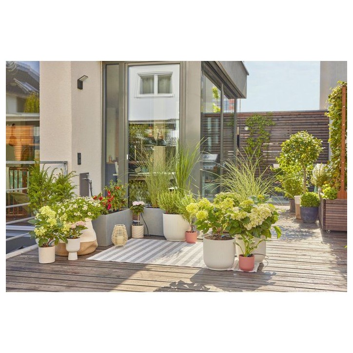 Kit d'initiation arrosage - GARDENA - Terrasse - Jusqu'a 30 plantes - Installation facile Kit d'initiation arrosage - GARDENA - Terrasse - Jusqu'a 30 plantes - Installation facile