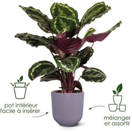 ELHO Lot de 3 pots de fleur rond Jazz - Ø14xH13,1, Ø16xH15,3, Ø19xH17,6 cm - 7 L - Lila et Blanc