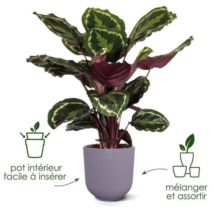 ELHO Lot de 3 pots de fleur rond Jazz - Ø14xH13,1, Ø16xH15,3, Ø19xH17,6 cm - 7 L - Lila et Blanc