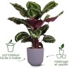 ELHO Lot de 3 pots de fleur rond Jazz - Ø14xH13,1, Ø16xH15,3, Ø19