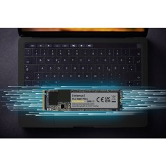 INTENSO - Premium - SSD Interne - 2 To - NVMe M.2 PCIe Gen 3x4 - Vites