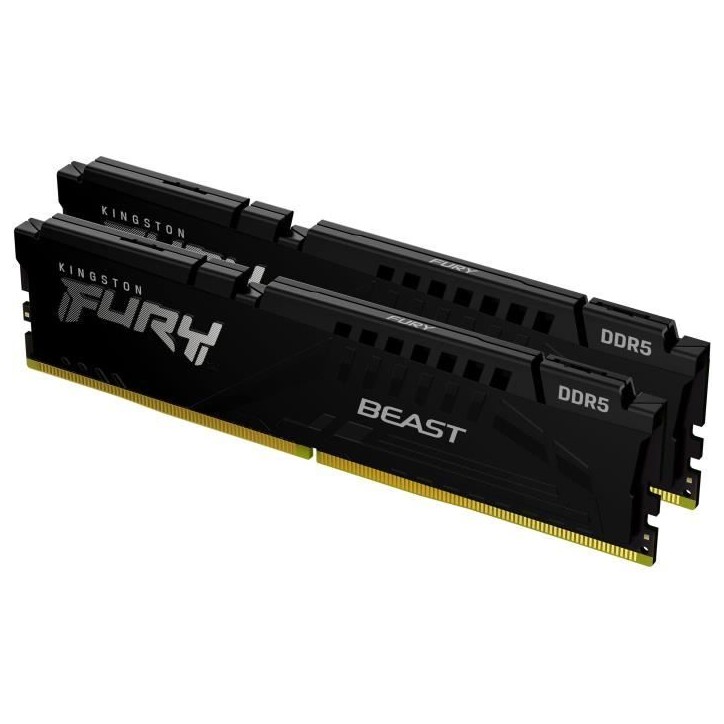 Mémoire DDR5 - KINGSTON - FURY Beast EXPO - 32 Go (2 x 16 Go) - 6000 Mhz - CL30 Mémoire DDR5 - KINGSTON - FURY Beast EXPO - 32 Go (2 x 16 Go) - 6000 Mhz - CL30