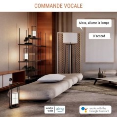 Mini prise intelligente - KONYKS - Priska Max Black FR - Wi-Fi+BT - 16